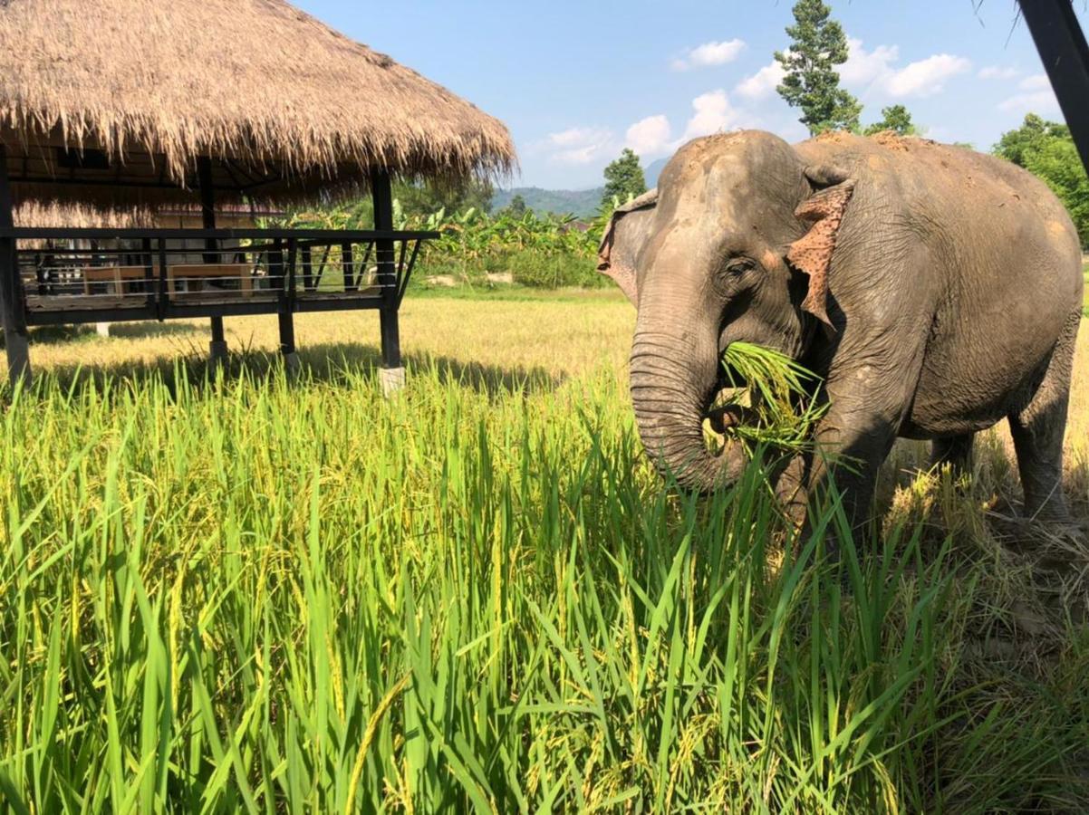 Paiberngboc Resort Kenue Kang Bagian luar foto